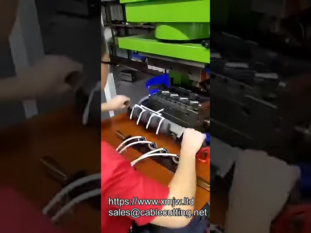 Vertical Clamp Horizontal Injection Molding Machine Ac Dc Plugs Electronic Plastic Vertical Injectio