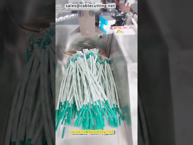 Automatic terminal machine