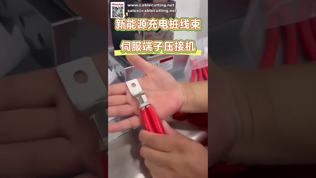 Servo Crimping Machine for Energy Storage Wire Harness High Voltage Cable Press Equipment