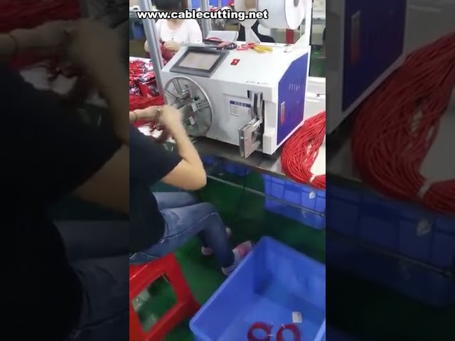 Automatic Wire Winding Machine, Iron Wire Tie Machine, Loop Tie Wire Machine