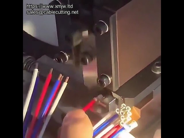 Auto Vibrating Disc Feeding Tubular Single Grain Terminal Crimping Bulk Terminal Crimper Machine Pri